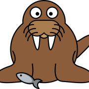 Walrus hewan transparan