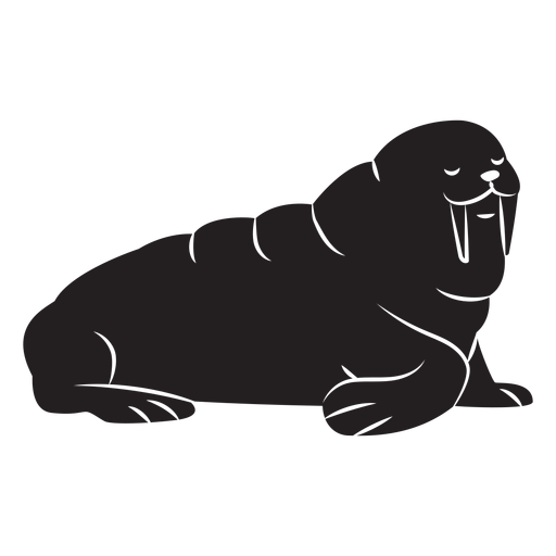 Walrus Mammal PNG Clipart