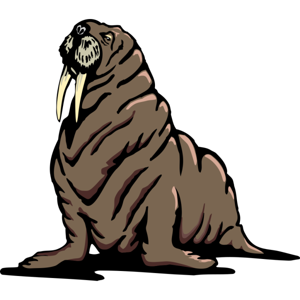 Walrus Mammal PNG Images
