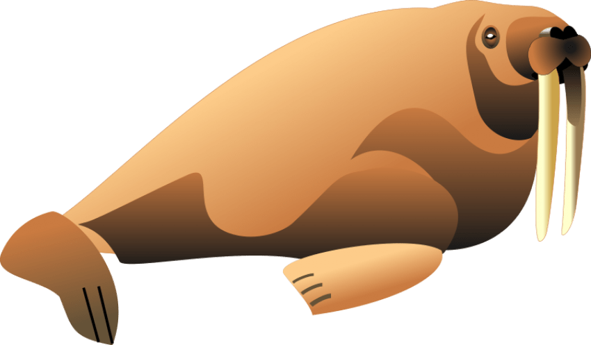 Walrus Mammal PNG Pic