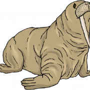 Walrus Mammal PNG Picture
