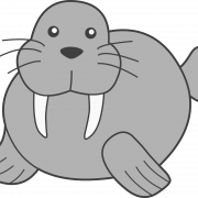Walrus PNG Clipart