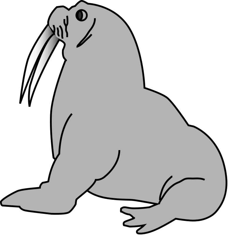 Walrus PNG Images HD