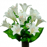 Png di fiore di giglio bianco