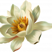 White Lily Flower PNG Cutout