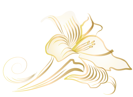 White Lily Flower PNG Pic