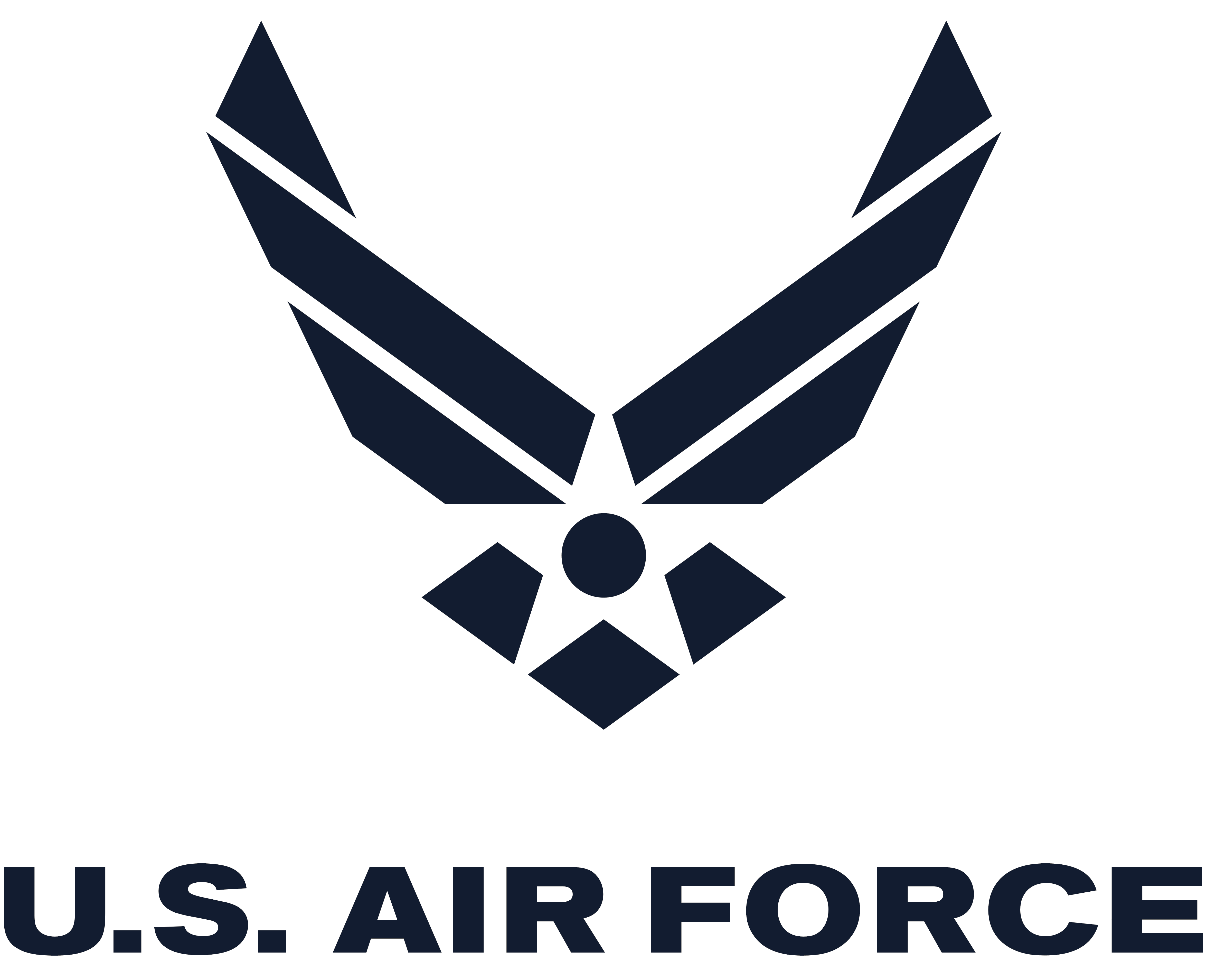Acf Fiorentina Wikipedia - Brazilian Air Force Logo - 1076x1024 PNG  Download - PNGkit
