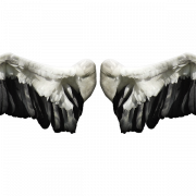 Angel Wing Background PNG
