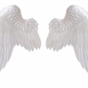 Angel Wing PNG Background
