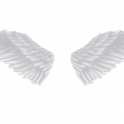 Angel Wing PNG Clipart