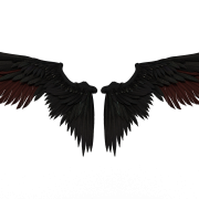 Angel Wing PNG File