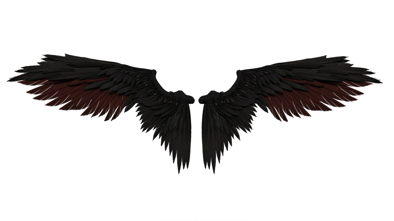 Angel Wing PNG File
