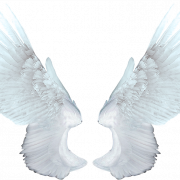 Angel Wing PNG Free Image