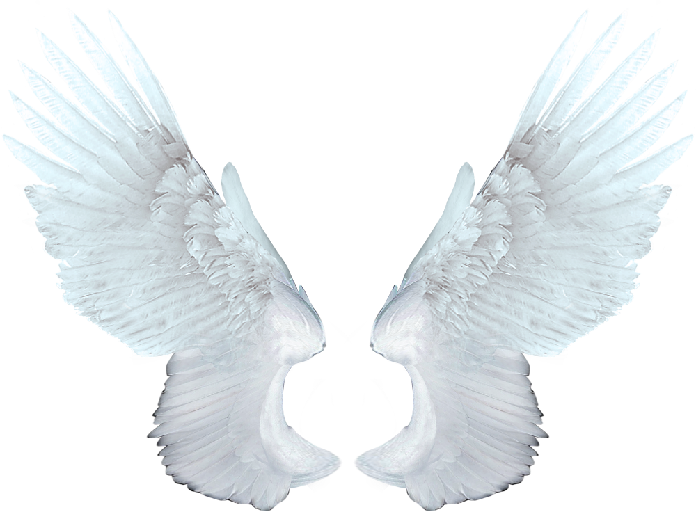 Angel Wing PNG Free Image