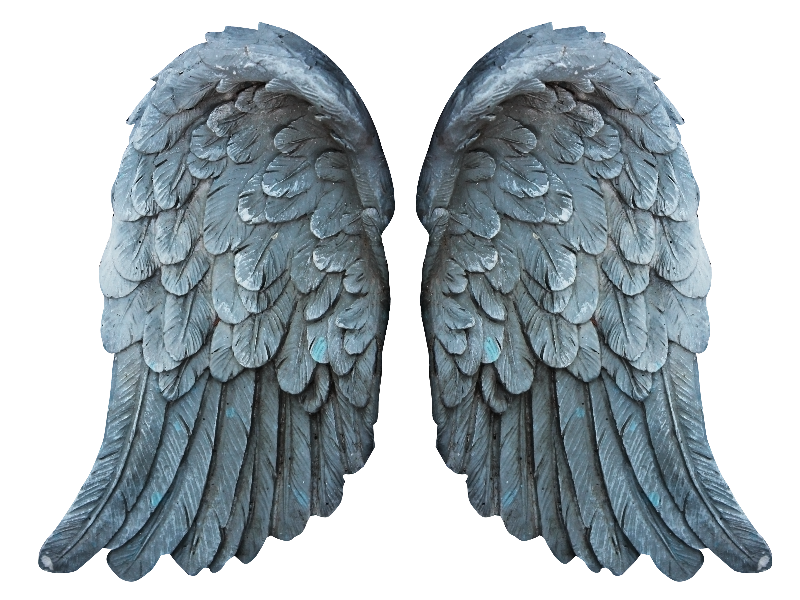 Angel Wing PNG HD Image