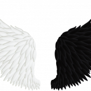 Angel Wing PNG Image File