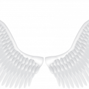 Angel Wing PNG Image HD