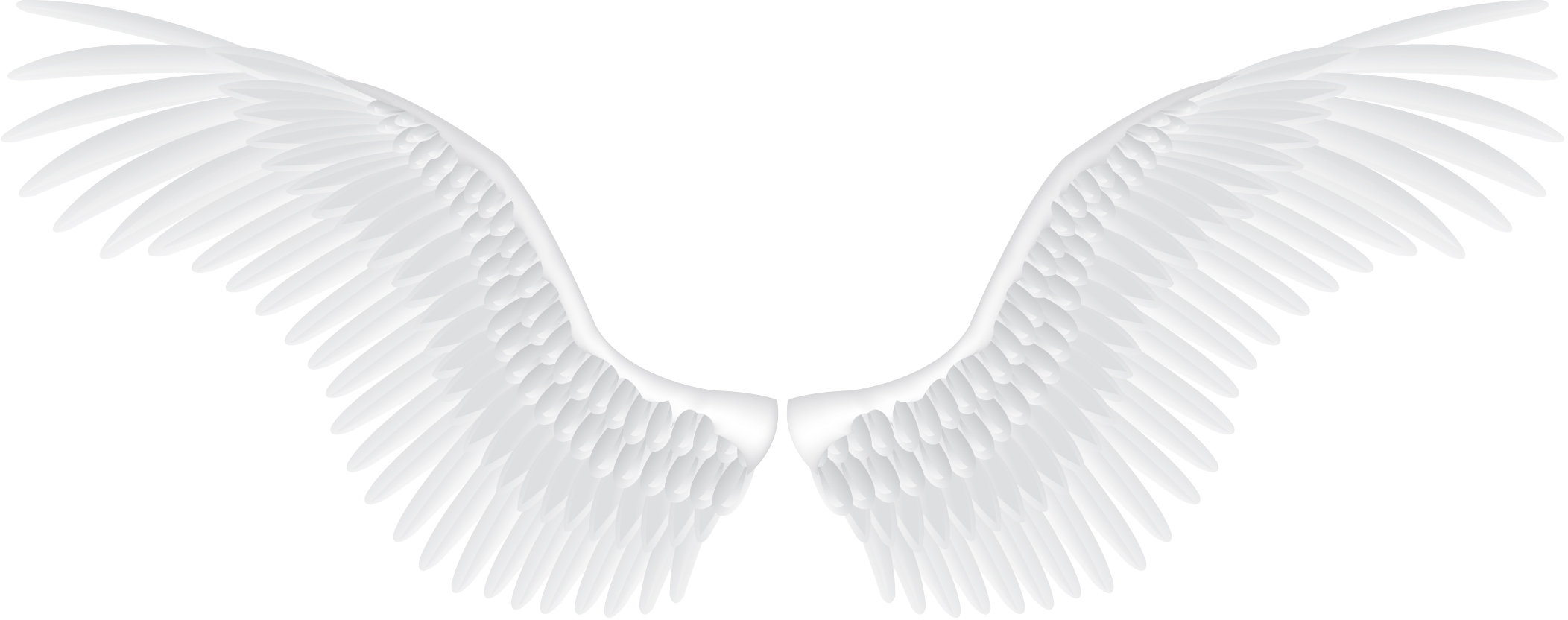 Angel Wing PNG Image HD