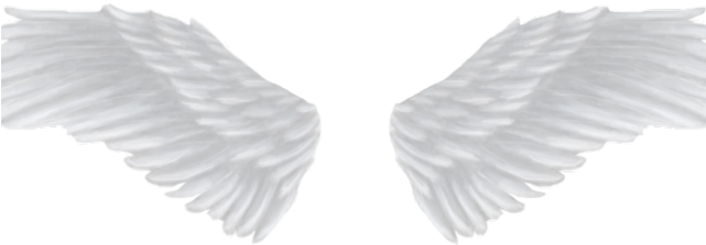 Angel Wing PNG Image