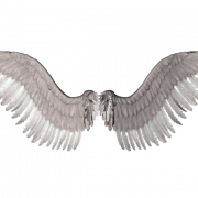 Angel Wing PNG Images HD