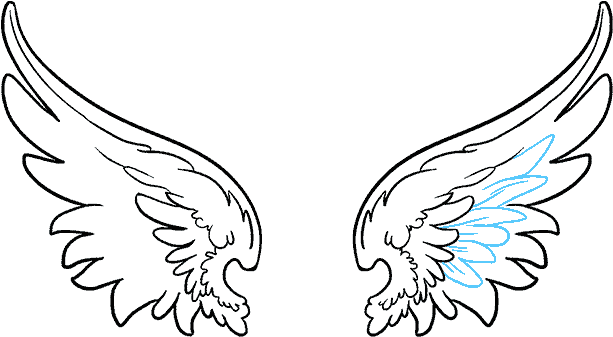 Angel Wing PNG Photo