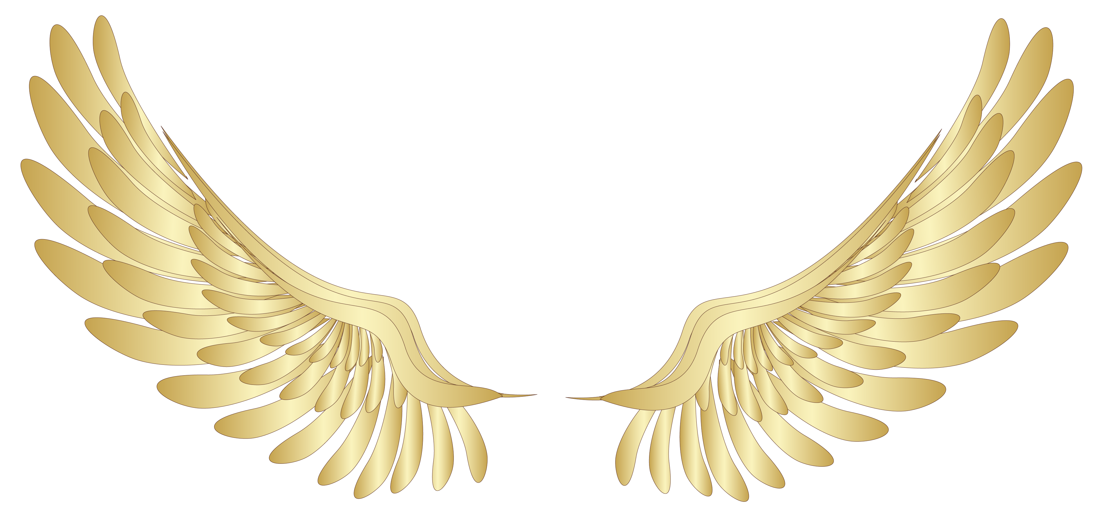 Angel Wing PNG Photos