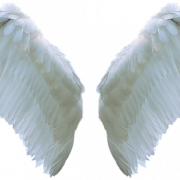 Angel Wing PNG Pic