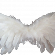 Angel Wing PNG Picture