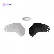 Angel Wing Transparent