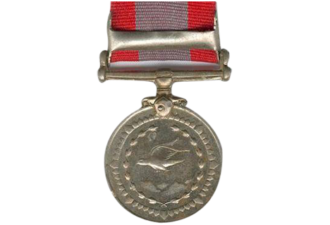 Army Medal Ribbon PNG Free Image