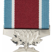 Army Medal Ribbon PNG Photo