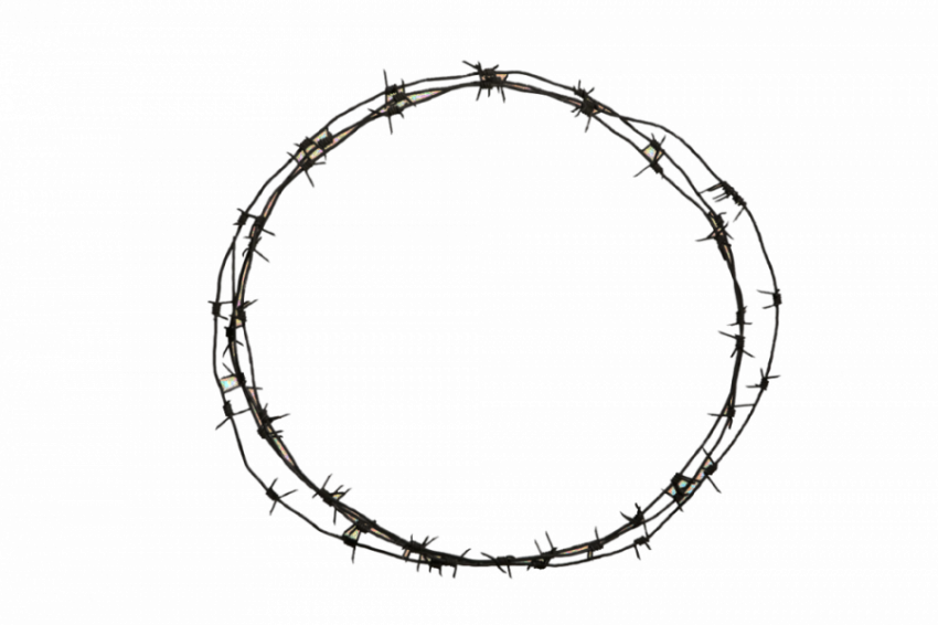 Barbed Wire PNG Image HD