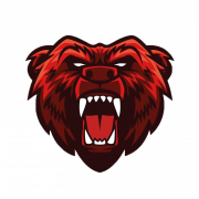 Bear Logo PNG Photo