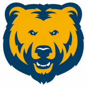 Bear Logo PNG Picture