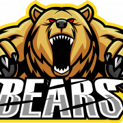 Bear Logo Transparent