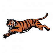 Bengals Logo PNG Images