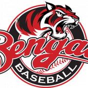 Bengals Logo PNG Picture