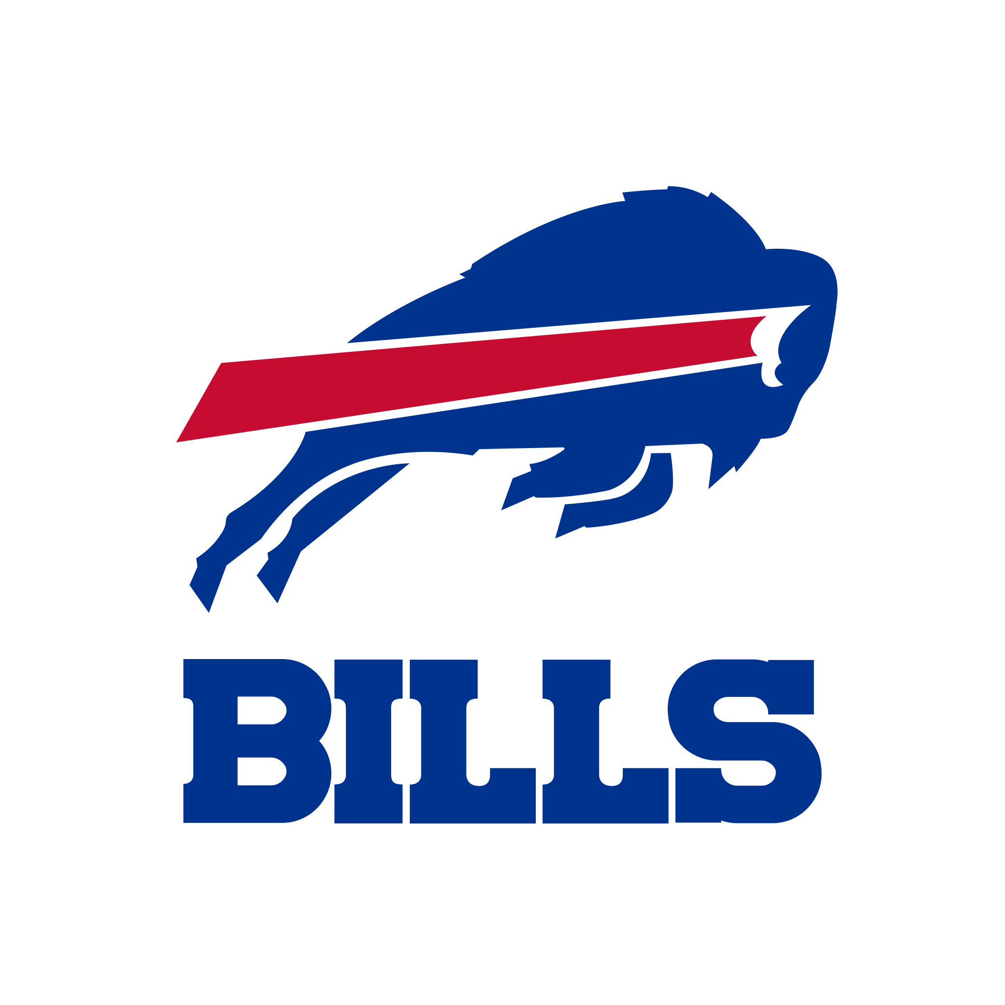 Bills Logo PNG Photos