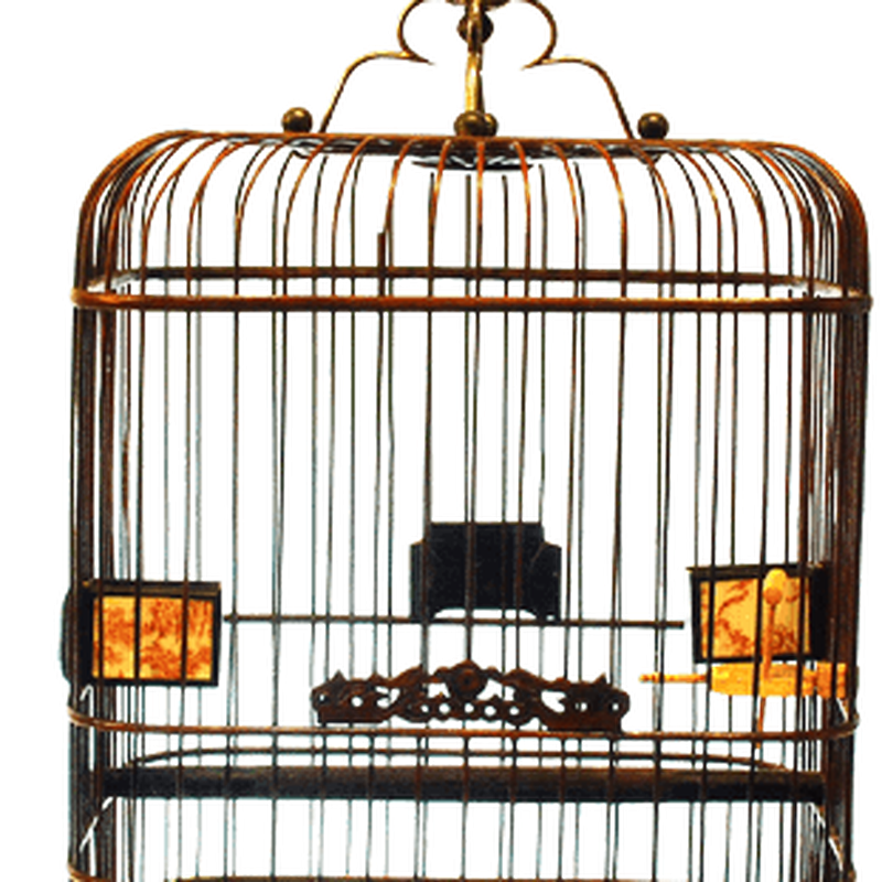 Birdcage Elevator PNG Cutout