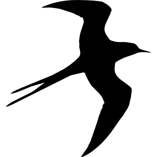Birds Flying Background PNG