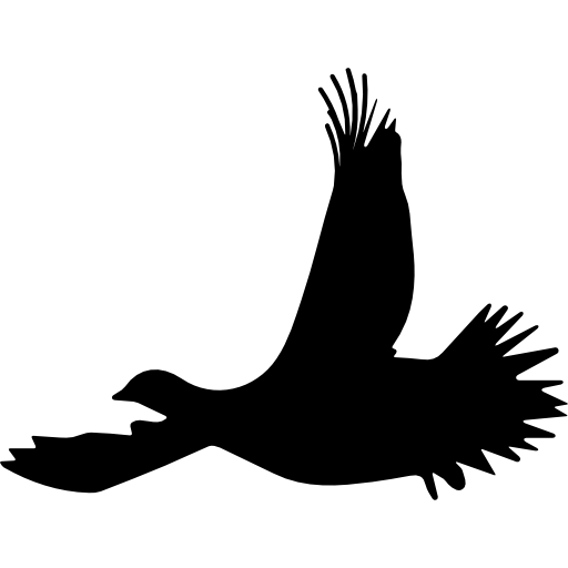 Birds Flying PNG Free Image