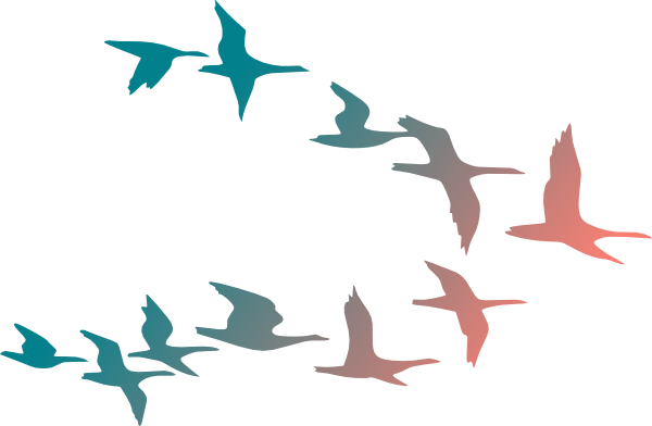 Birds Flying PNG HD Image