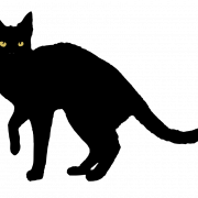 Black Cat PNG HD Image