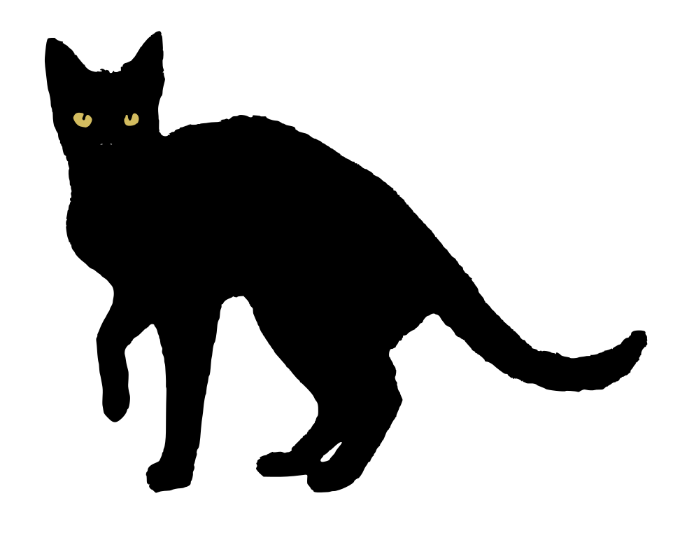 Black Cat PNG HD Image