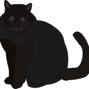 Black Cat PNG Images
