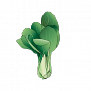 Bok Choy Cabbage PNG
