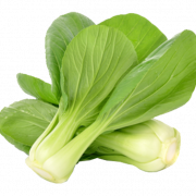 Bok Choy Cabbage PNG File