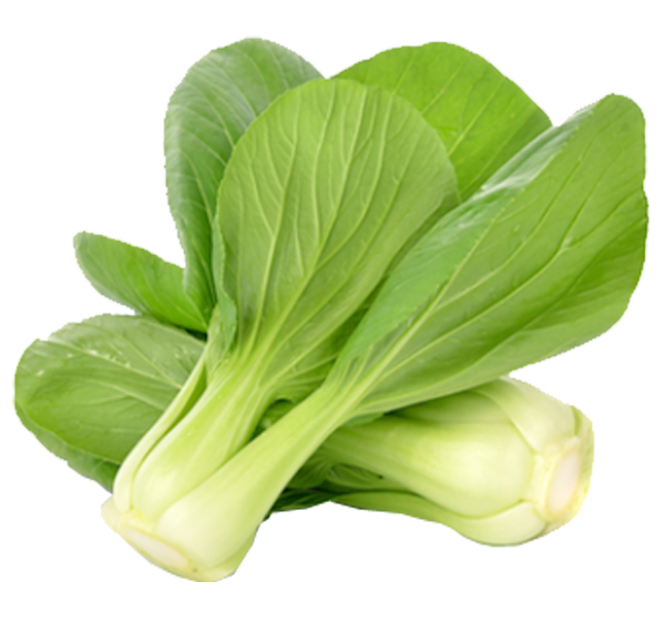 Bok Choy Cabbage PNG File