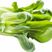 Bok Choy Cabbage PNG Images