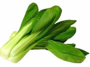 Bok Choy Chinese PNG File
